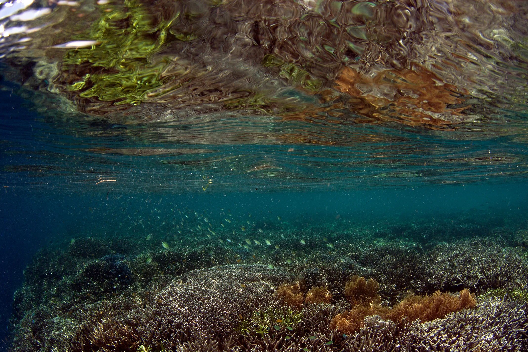 Philippines