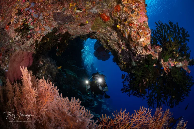 Solomon Islands