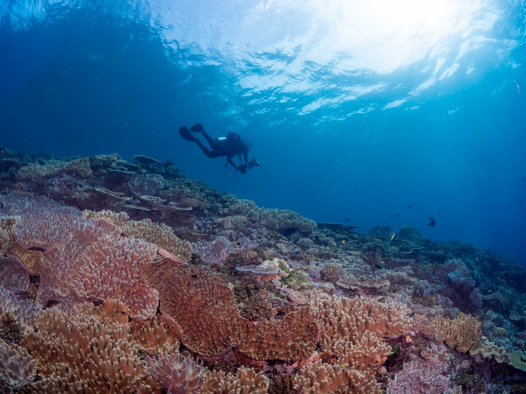 Solomon Islands